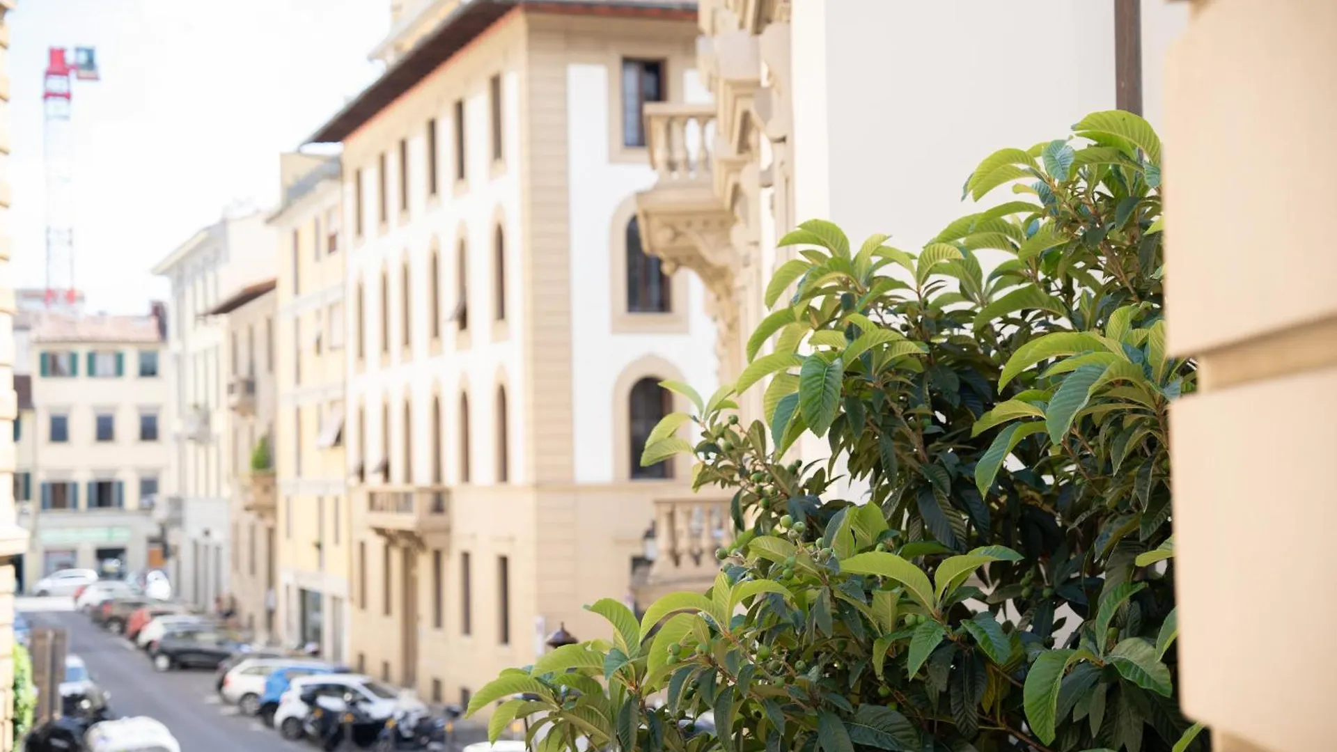 Bed & Breakfast Bed and Breakfast Mantellate 9 Florencie